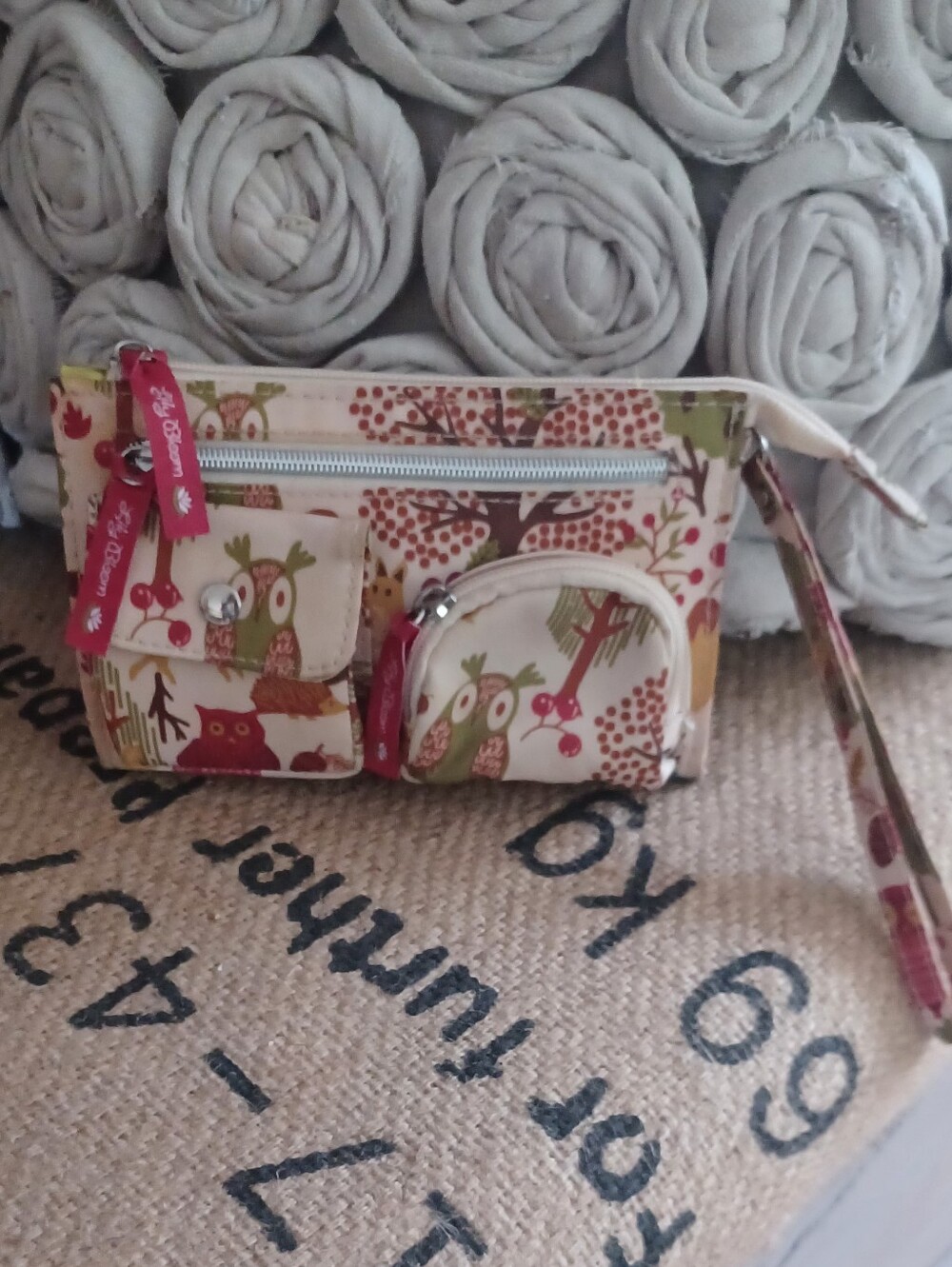 Cream Owl-Print Wristlet  Bag